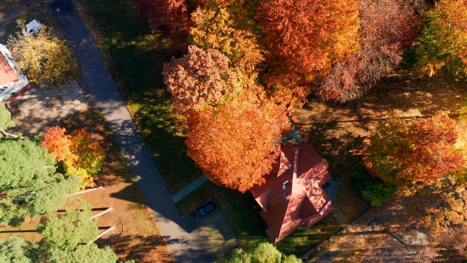 Parkresidenz Lychen, Ferienwohnung 4 エクステリア 写真