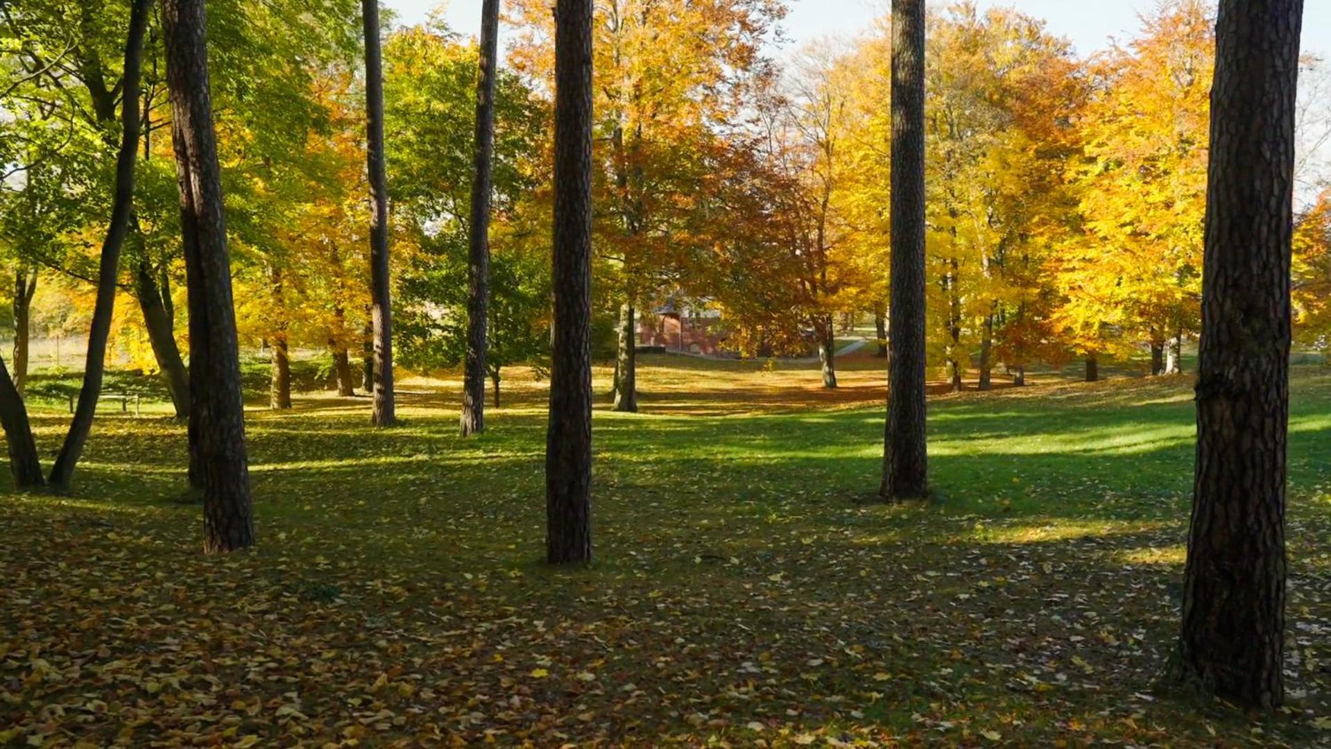 Parkresidenz Lychen, Ferienwohnung 4 エクステリア 写真